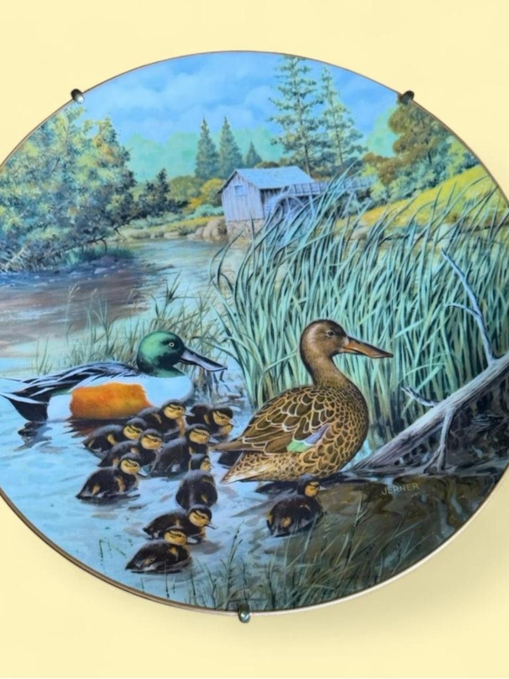 VINTAGE 1987 Knowles "The Northern Shoveler" Collector Plate by Bart Jerner